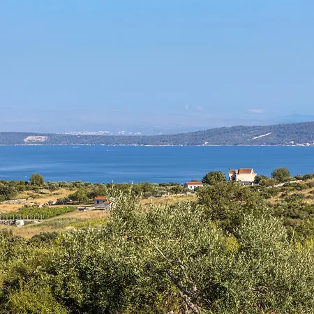 Olive Nest With Sensational View
